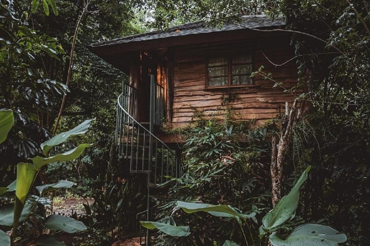 Roots Tree House Villa Uluwatu Exterior foto